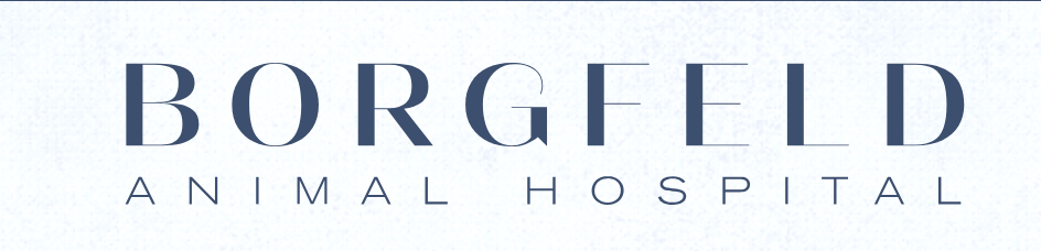 Borgfeld Animal Hospital