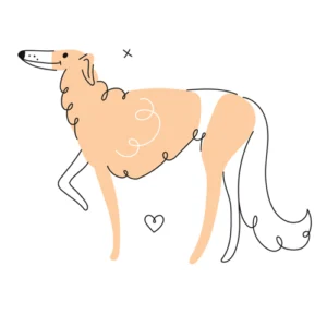 5 Things Your Dog Wants From You