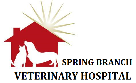 Spring Branch Veterinary Hospital