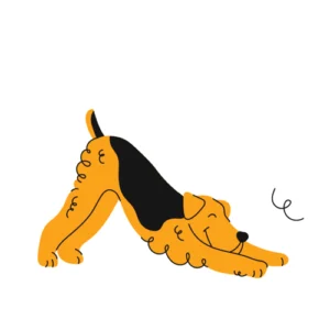 House Training Your Adult Dog